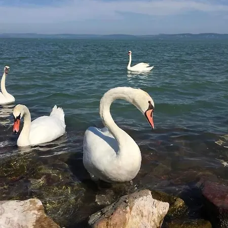 Panoráma Apartamento *